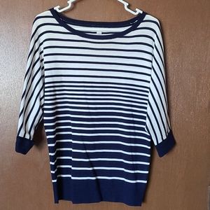 Navy and white sweater